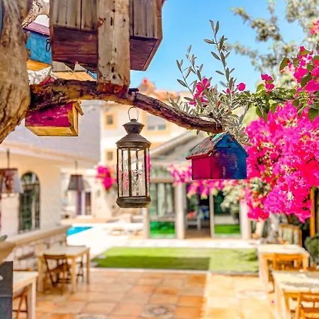 Ruezgarguelue * Alacati