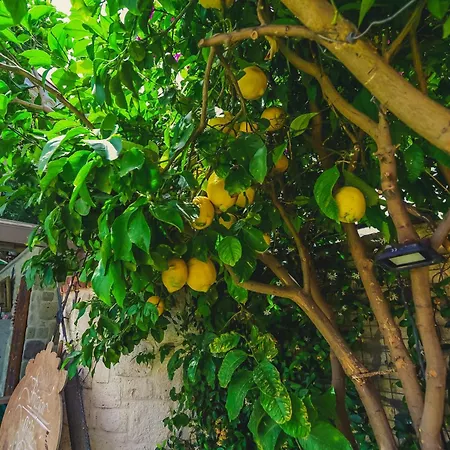 Ruezgarguelue فندق