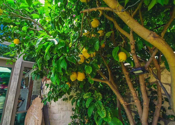 Ruezgarguelue ホテル