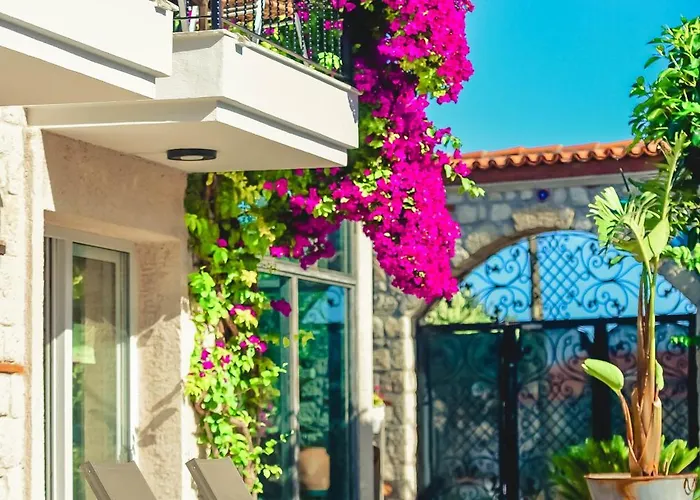 Ruezgarguelue アラカティ