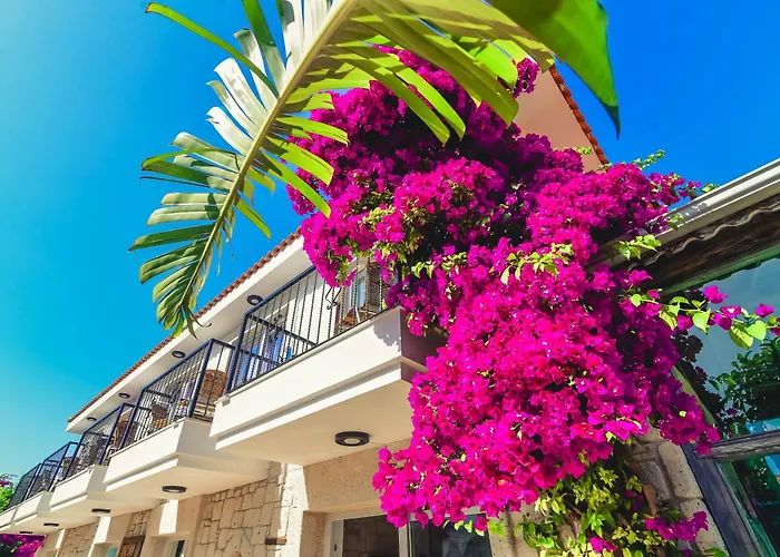 Ruezgarguelue アラカティ